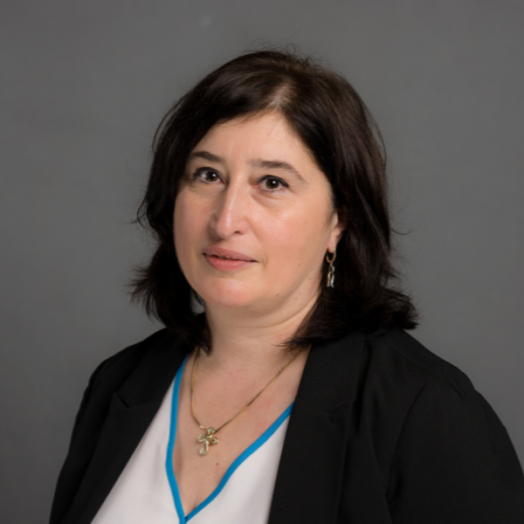 Tamar Zhvania, Country Director, Uzbekistan IFES The International